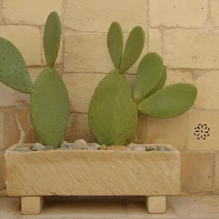 Corte Kalinora Konukevi