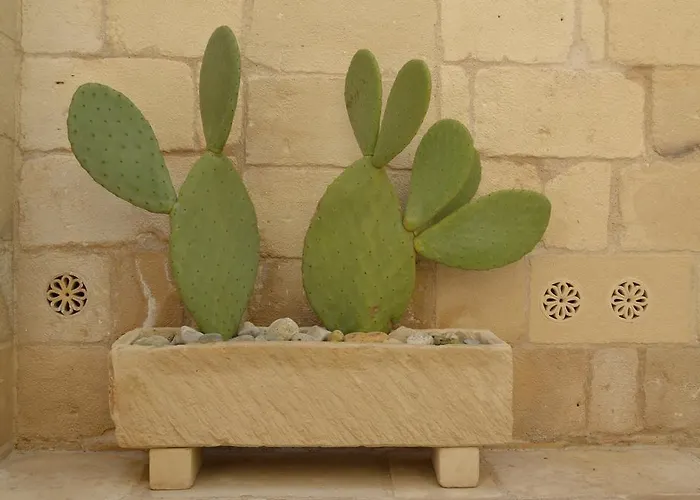 Corte Kalinora בית הארחה